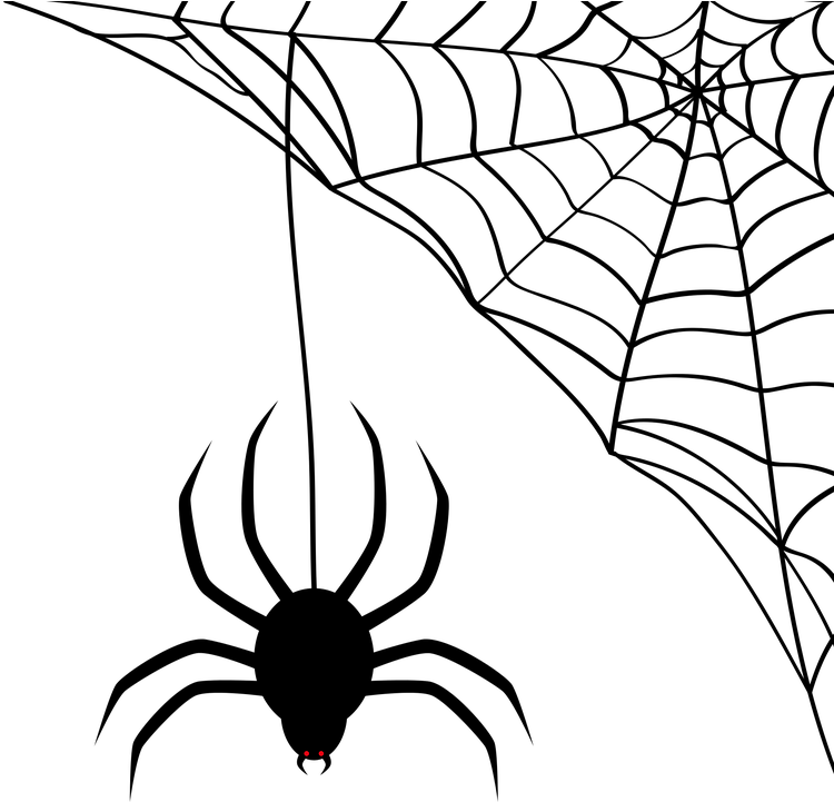 Cobweb